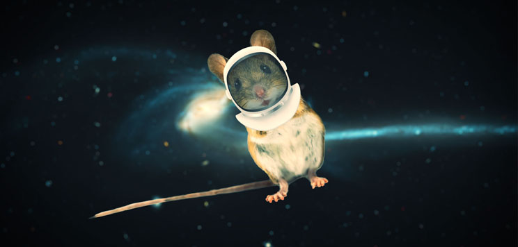 Mice to Mars